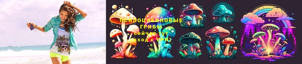 СК Алексин