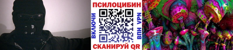 продажа наркотиков  Орлов  Галлюциногенные грибы Cubensis 